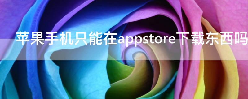 iPhone手机只能在appstore下载东西吗（iphone只能在appstore下载软件吗）