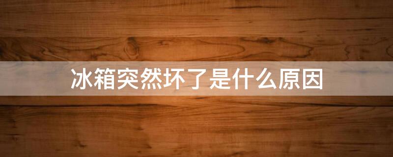 冰箱突然坏了是什么原因 冰箱坏了的症状