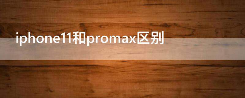 iPhone11和promax区别（iphone11和promax区别 长宽高）