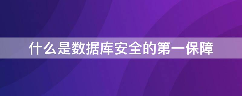 什么是数据库安全的第一保障 数据库安全只依靠技术即可保障