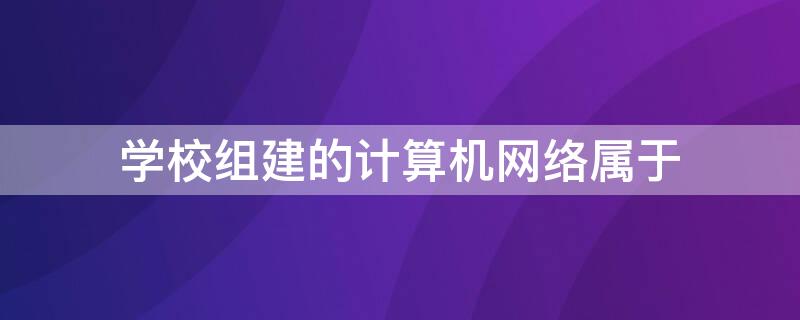 学校组建的计算机网络属于 一个学校组建的计算机网络属于