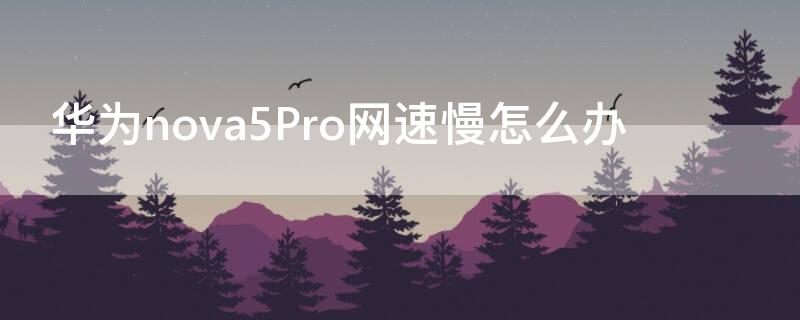 华为nova5Pro网速慢怎么办 华为nova5pro手机上网很慢