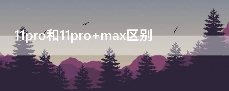 11pro和11pro 11pro和11pro max区别