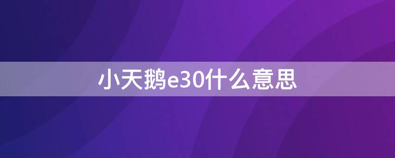 小天鹅e30什么意思（小天鹅E30什么意思）