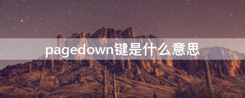 pagedown键是什么意思（ctrl+pagedown键是什么意思）