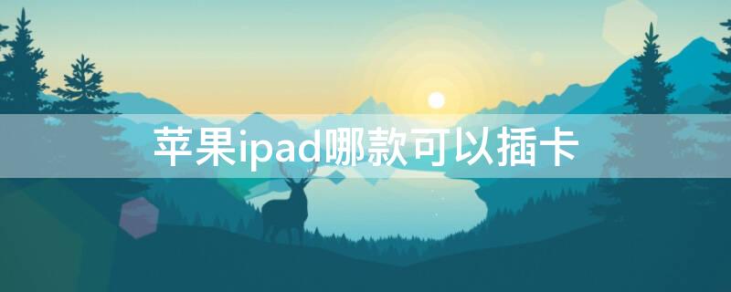 iPhoneipad哪款可以插卡（苹果可以插卡的ipad）