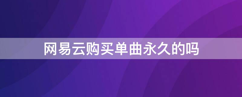 网易云购买单曲永久的吗 网易云不可以单曲购买吗