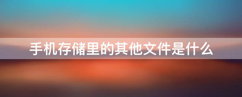 手机存储里的其他文件是什么 手机储存空间里面的其他文件是什么