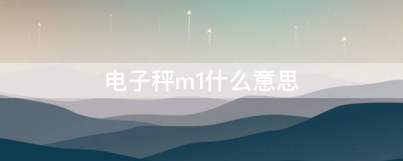 电子秤m1什么意思（秤上的m1是什么意思）