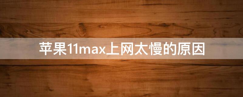 iPhone11max上网太慢的原因（iphone12promax上网慢）