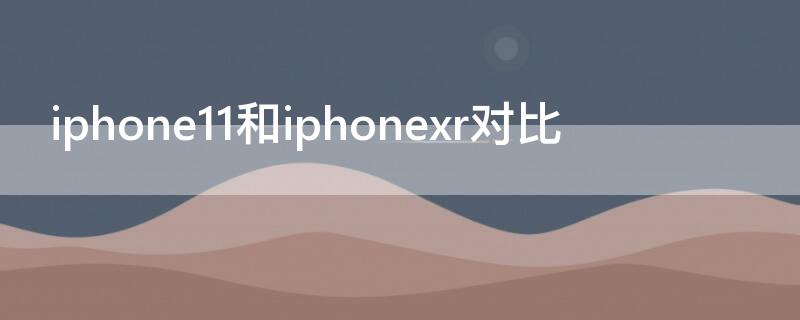 iPhone11和iPhonexr对比 iPhonexr和11对比