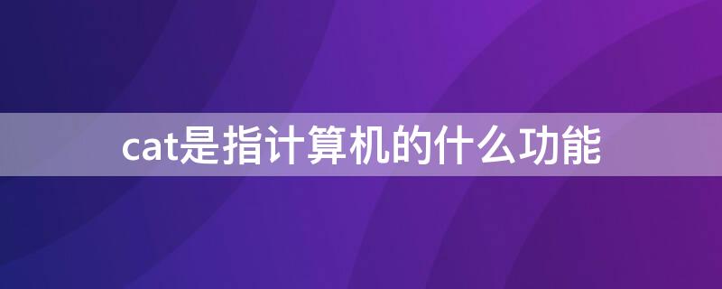 cat是指计算机的什么功能 计算机应用领域中cat是指