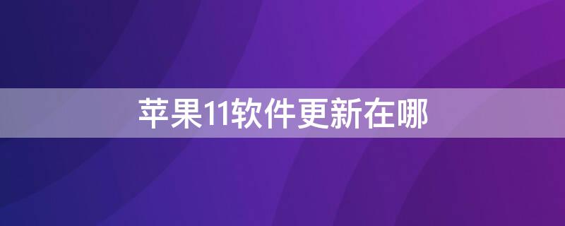 iPhone11软件更新在哪（iphone11软件自动更新在哪）