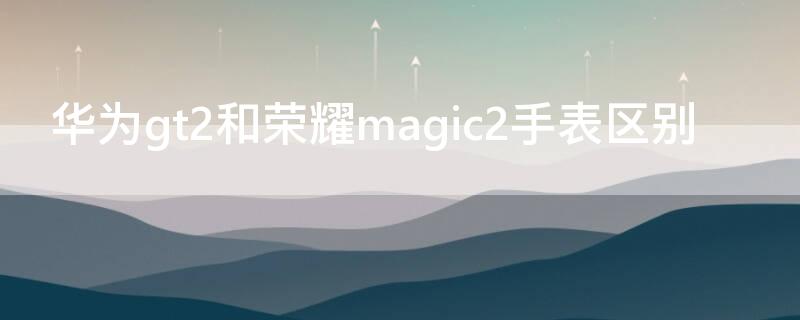 华为gt2和荣耀magic2手表区别 荣耀magicwatch 2和华为gt2区别