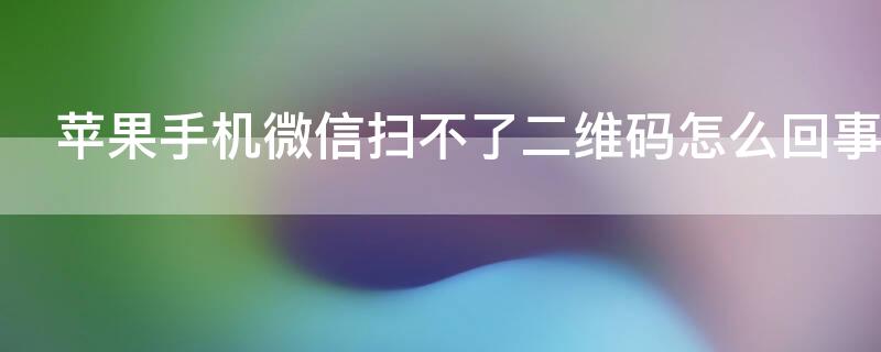 iPhone手机微信扫不了二维码怎么回事 苹果手机扫不了微信二维码是什么原因