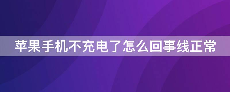 iPhone手机不充电了怎么回事线正常（iphone充电线突然充不了电）