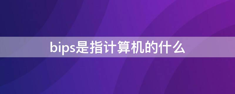 bips是指计算机的什么 bips是指计算机的什么单位