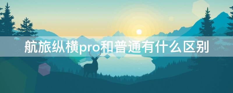 航旅纵横pro和普通有什么区别（航旅纵横pro有什么不一样）