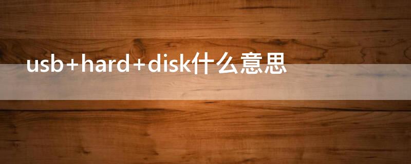 usb hard disk什么意思