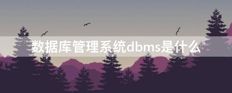 数据库管理系统dbms是什么（什么是数据库管理系统(DBMS?）