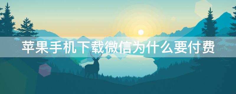 iPhone手机下载微信为什么要付费（为什么苹果手机下载微信要付费）