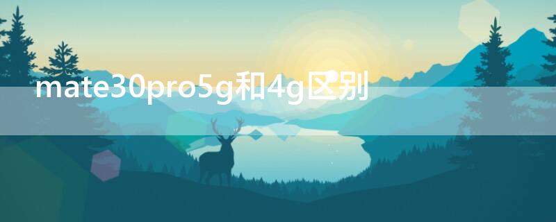 mate30pro5g和4g区别（mate30pro5g和4g区别外观）