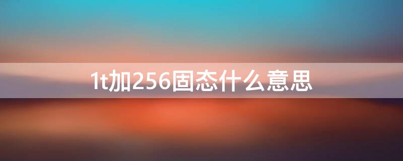 1t加256固态什么意思 固态256+1t