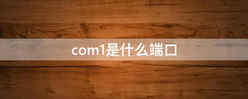 com1是什么端口（com1是什么端口图片）