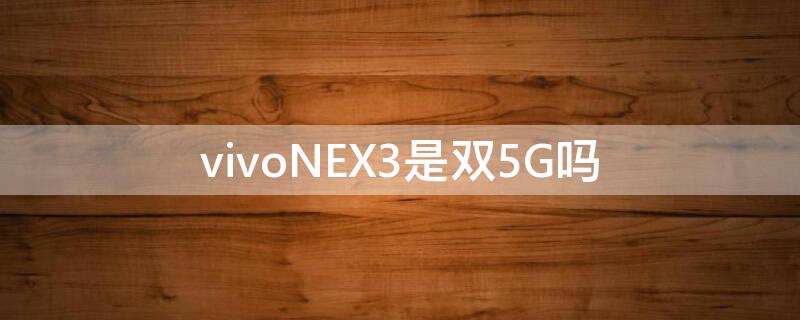 vivoNEX3是双5G吗（vivonex3不是真正的5g手机吗）