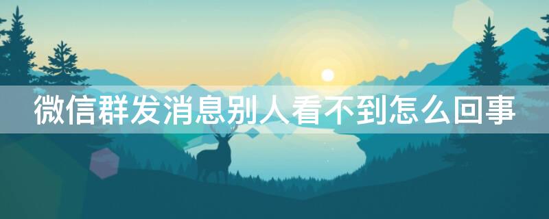 微信群发消息别人看不到怎么回事 微信群里发消息别人看不到怎么回事