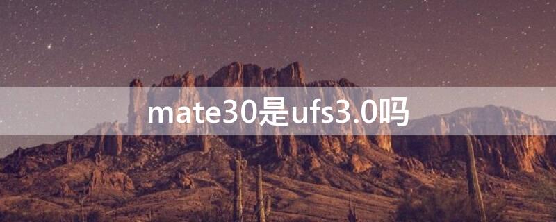 mate30是ufs3.0吗 mate30是ufs3.1吗