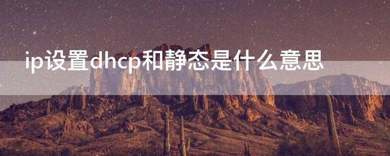ip设置dhcp和静态是什么意思（网络ip设置静态与DHCP的区别）