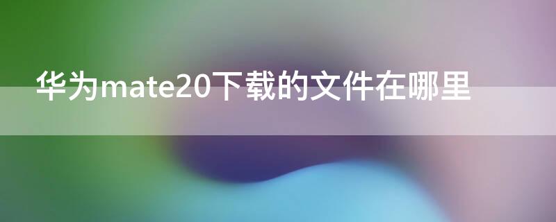 华为mate20下载的文件在哪里 华为mate20下载文件在哪里找