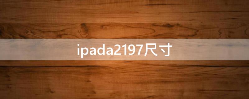 ipada2197尺寸（ipada2197多少寸）