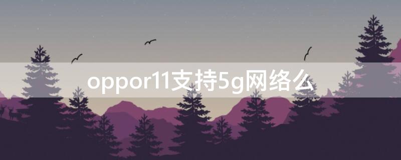 oppor11支持5g网络么（oppor11s支持5gwifi吗）