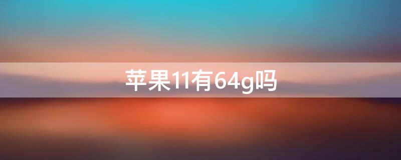 iPhone11有64g吗