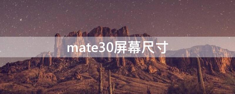 mate30屏幕尺寸（mate30屏幕尺寸多大）