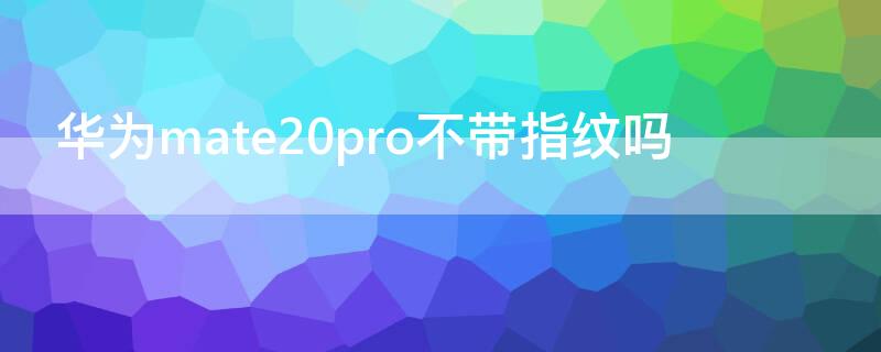 华为mate20pro不带指纹吗（华为mate20pro买带指纹的还是不带指纹的?）