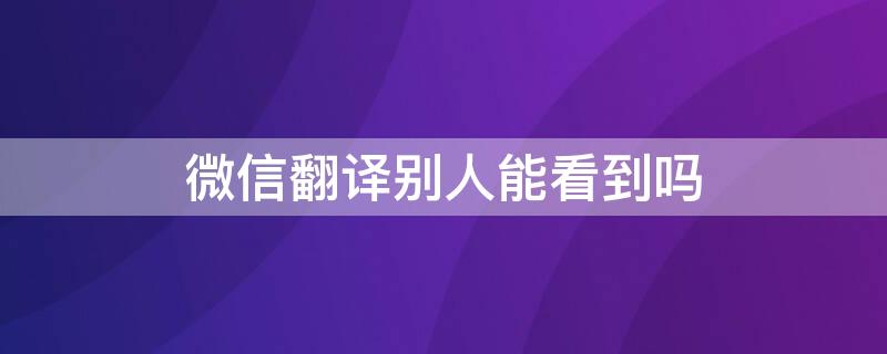 微信翻译别人能看到吗 微信翻译别人能看到吗我听不到