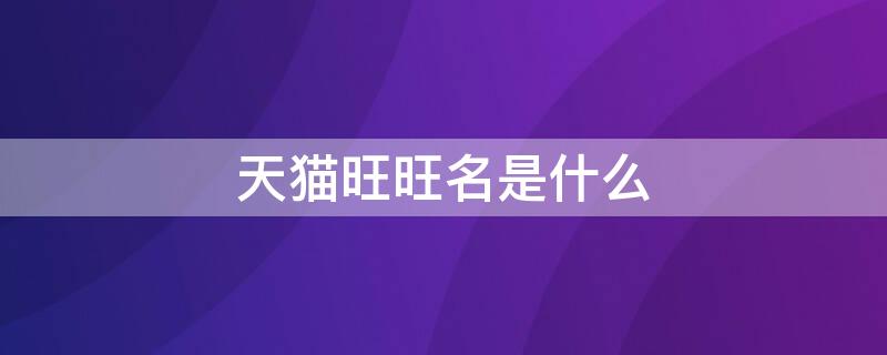 天猫旺旺名是什么 淘宝旺旺名是什么?