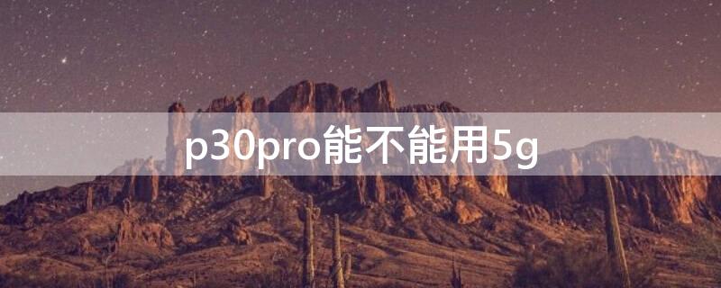 p30pro能不能用5g p30pro支持