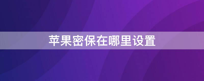 iPhone密保在哪里设置（iphone储存密码在哪里设置）
