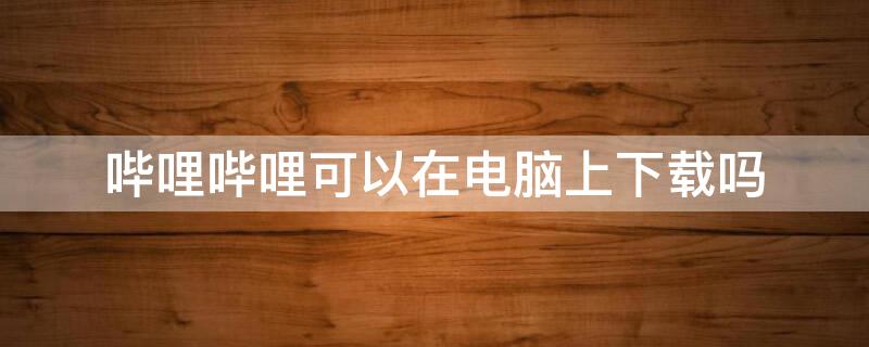 哔哩哔哩可以在电脑上下载吗（哔哩哔哩电脑上能不能下载）