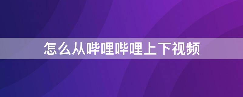 怎么从哔哩哔哩上下视频（哔哩哔哩电脑上怎么下载视频）