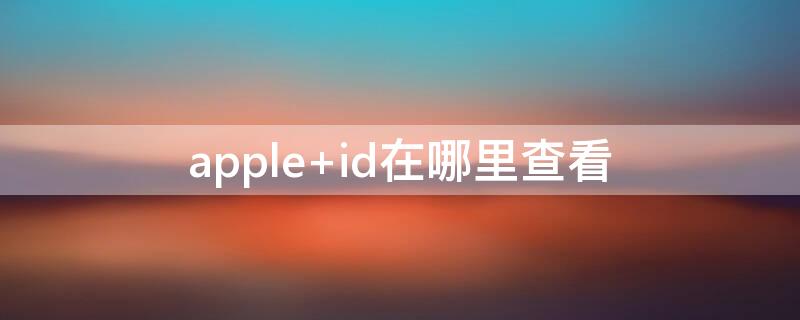 apple id在哪里查看