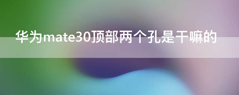 华为mate30顶部两个孔是干嘛的（mate30顶部的两个孔是什么）