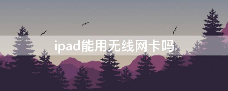 ipad能用无线网卡吗（ipad可以用无线网卡吗）