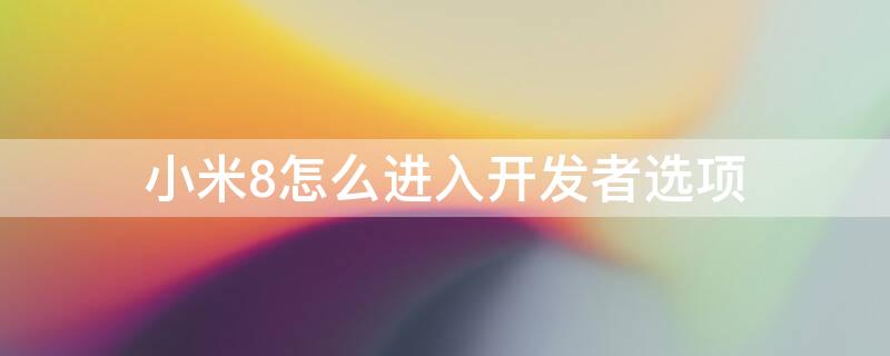 小米8怎么进入开发者选项 小米8怎么进入开发者选项中