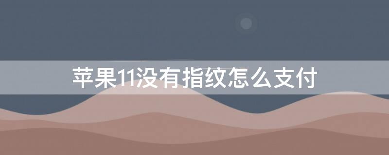 iPhone11没有指纹怎么支付（苹果11不支持指纹怎么付款）