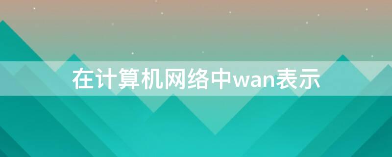 在计算机网络中wan表示（在计算机网络中wan和lan分别表示什么）